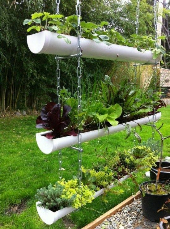 Genius Gardening Ideas on Low Budget