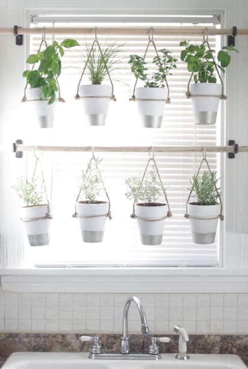 Indoor Herb Garden Ideas