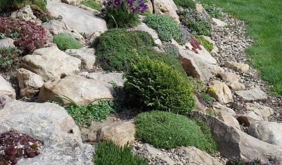 Gorgeous Small Rock Gardens You Will Definitely Love To Copy 