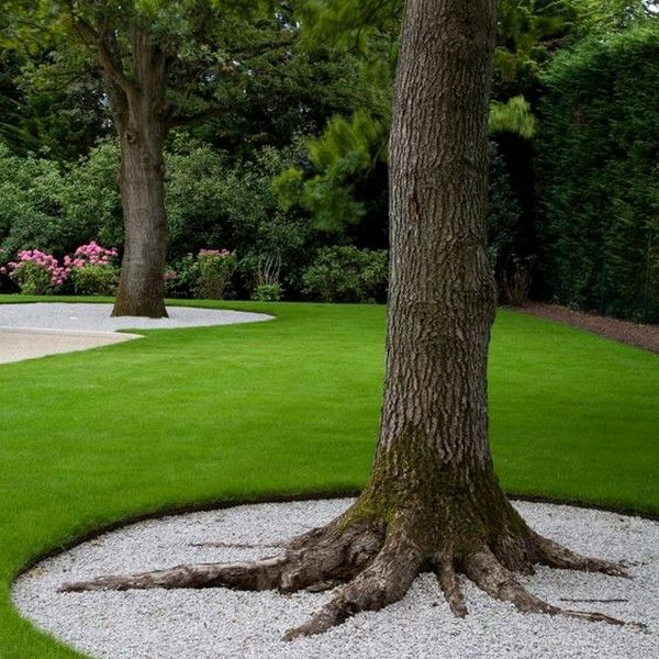 Garden Edging Ideas That Will Inspire You to Spruce Up Your Yard