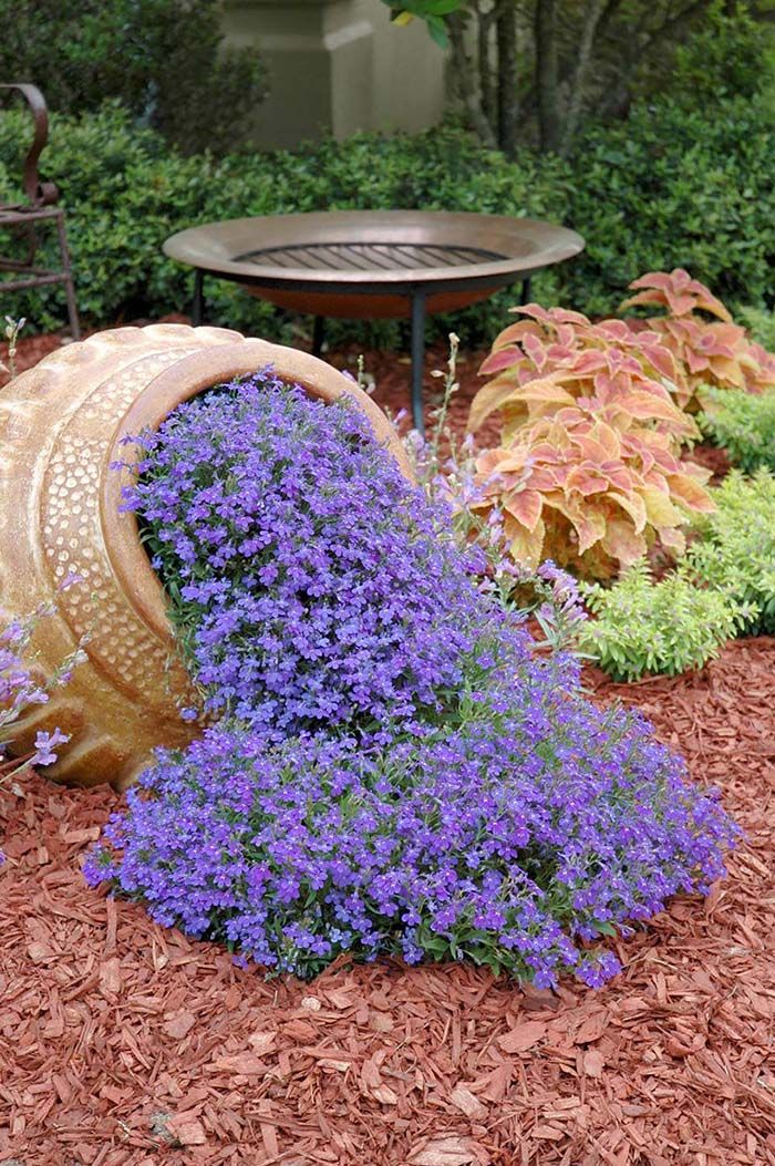 Amazing Garden Pot Ideas You’ll Love