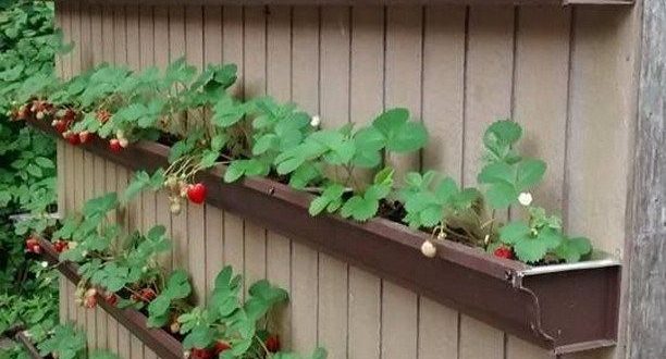 Amazing DIY Raised Garden Beds Ideas – decorafit.com/home