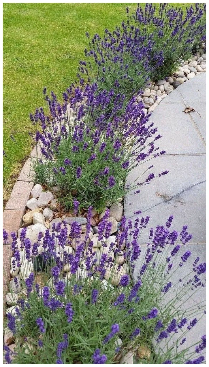 Simple And Beautiful Front Yard  Landscaping On A Budget