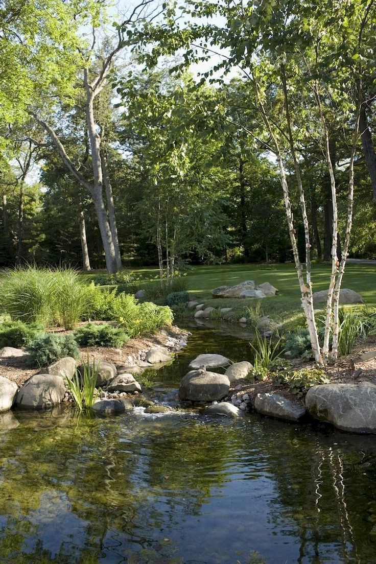 Water Garden Landscaping Ideas