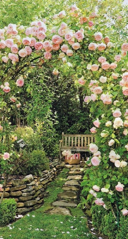 Gardens-of-My-Dreams-Romantic-Backyard-Garden-Ideas.jpg