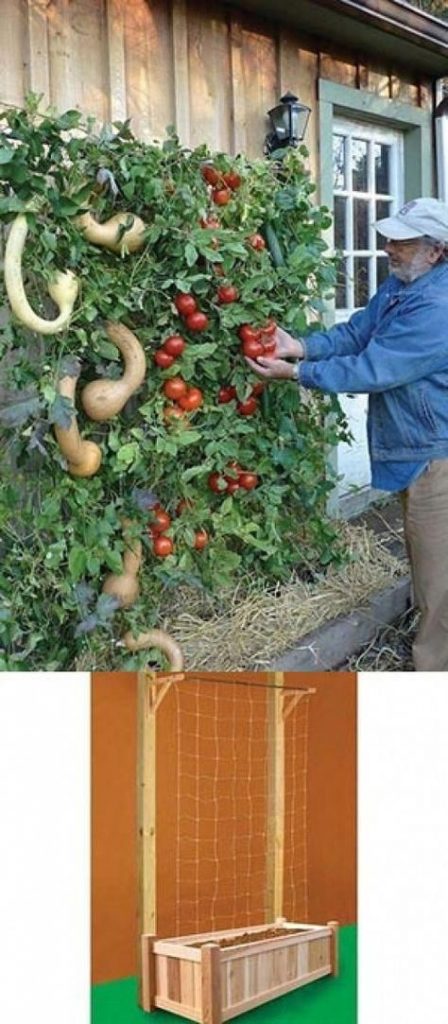 How-to-Build-a-Vertical-Vegetable-Garden.jpg