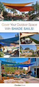 How-to-Install-Use-Shade-Sails-The-Garden.jpg