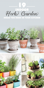 Indoor-Herb-Garden-DIY-Herb-Garden-Ideas-Indoor.png
