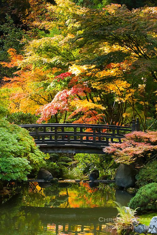 CONTEMPORARY JAPANESE GARDENS AND LANDSCAPES