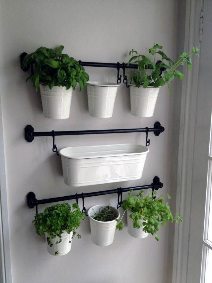 Indoor Herb Garden Ideas