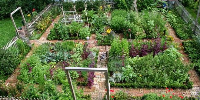 Ornamental Kitchen Garden Ideas – decorafit.com