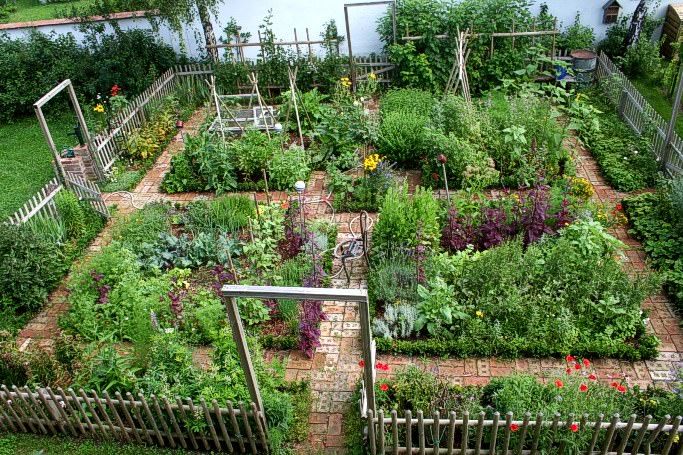 Ornamental Kitchen Garden Ideas