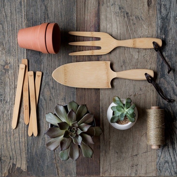 Eco-Friendly Garden Kits: Sustainable Solutions for Your Green Space