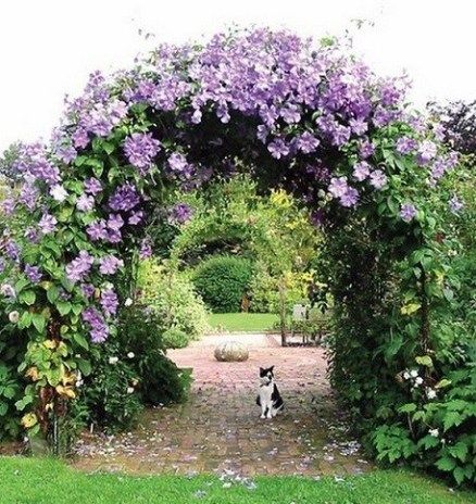 Gorgeous Garden Arches