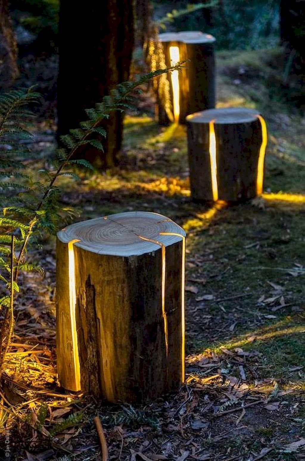 Cool Outdoor Lighting Ideas For Landscape