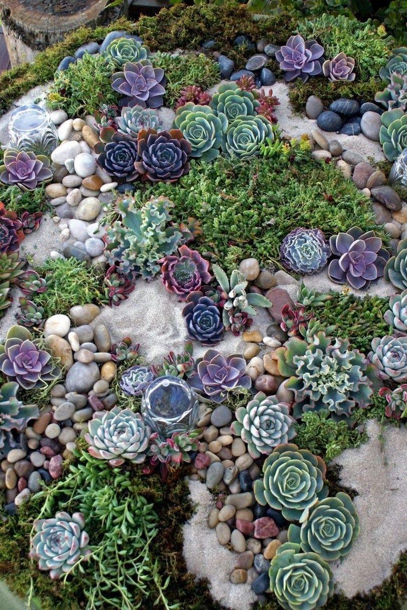 Gorgeous Small Rock Gardens You Will  Definitely Love To Copy
