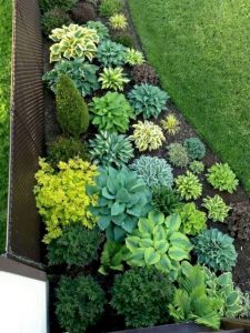 15-Amazing-Front-Yard-Landscaping-Ideas-To-Make-Your-Home.jpg
