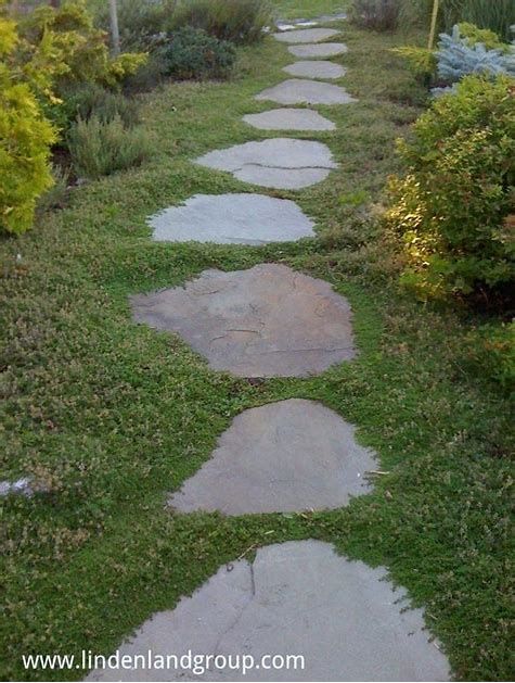 Inspiring Stepping Stones Pathway Ideas
For Your Garden