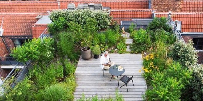 Stunning Roof Gardens – decorafit.com