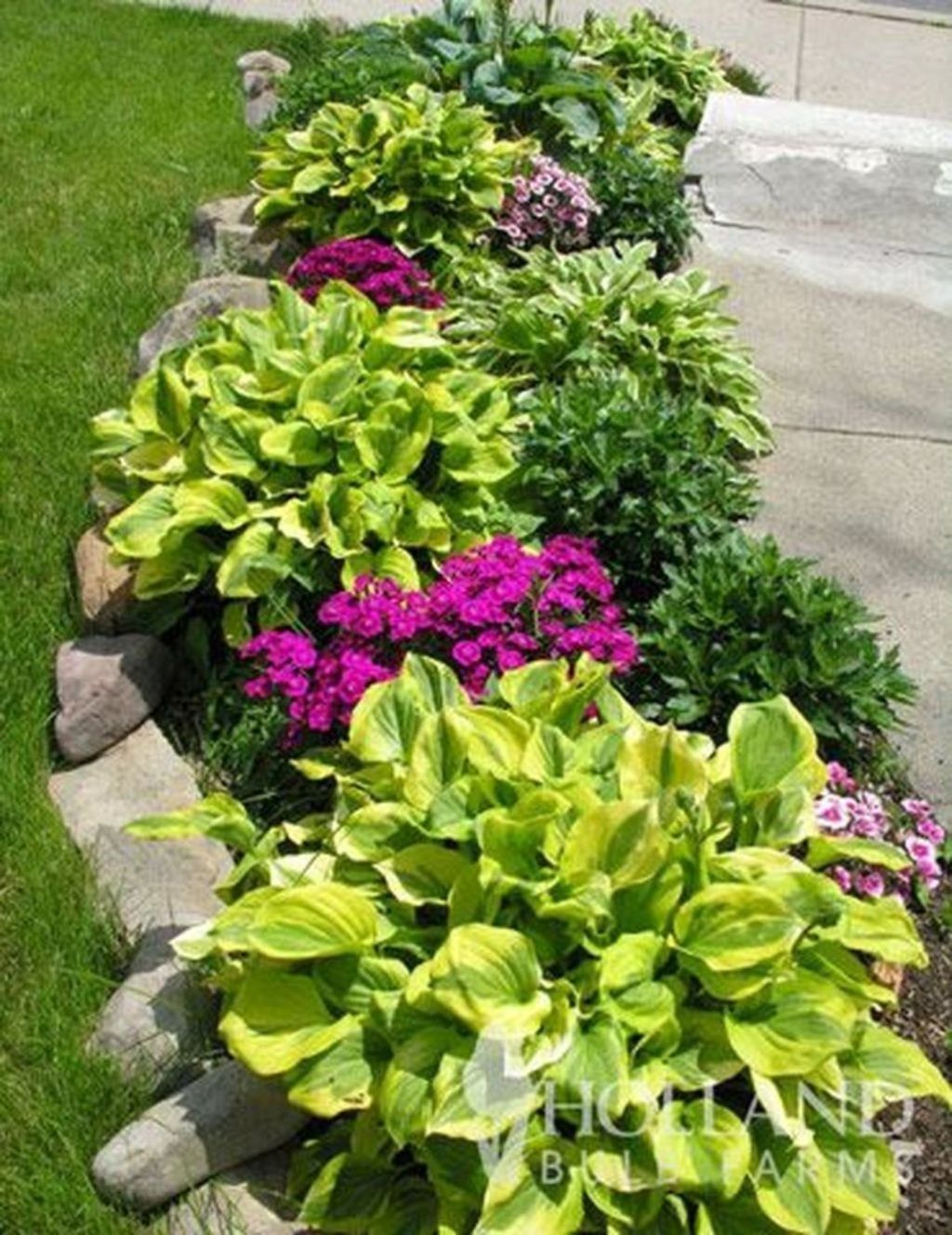 Inexpensive Front Yard Landscaping Ideas