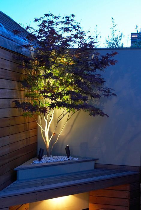 Cool Pergola Lighting Ideas For The Best Summer Nights