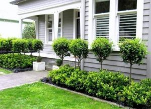 30-Charming-Fresh-Front-Yard-Landscaping-Ideas-Match-For-Any.jpg