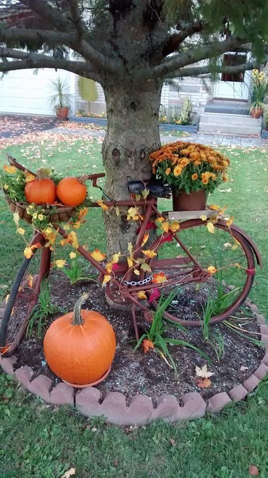 35-charmante-Fahrrad-Pflanzer-Ideen-fur-Ihren-Garten-die-Sie.jpg