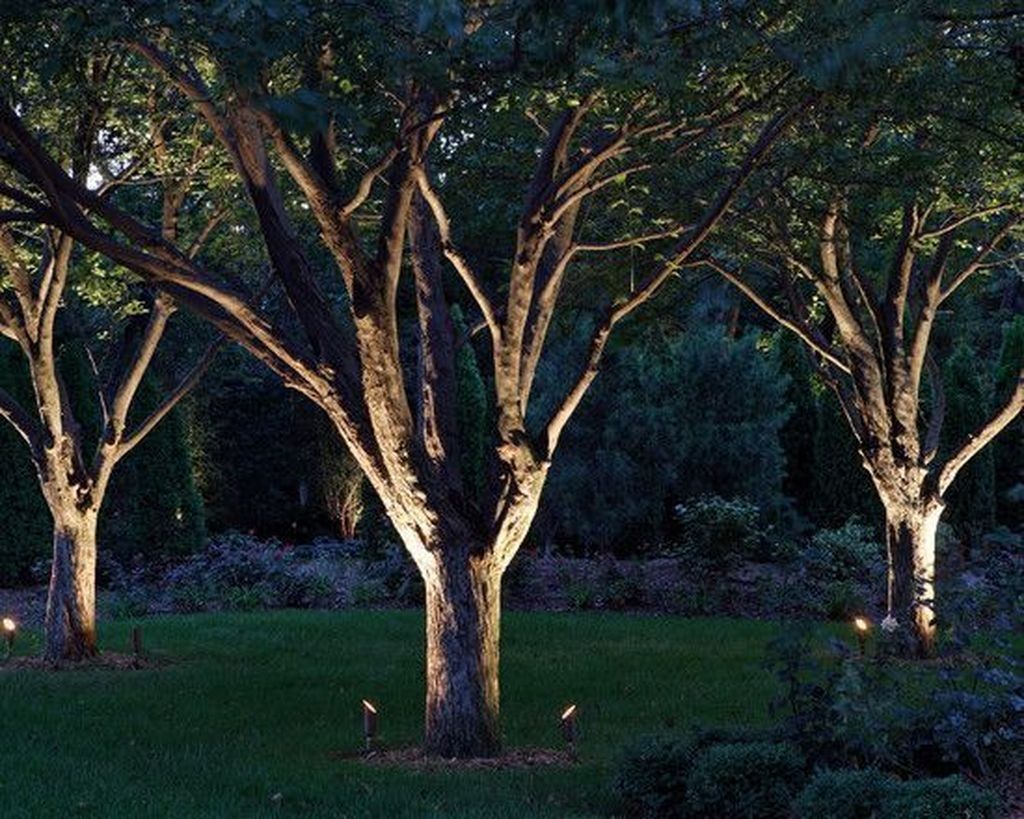 Stunning Garden Lighting Design Ideas