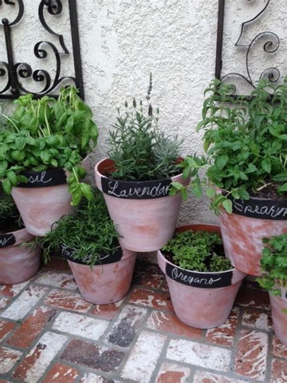 Amazing Garden Pot Ideas You’ll Love