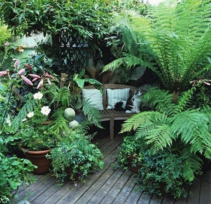 Affordable Backyard Garden Design Ideas