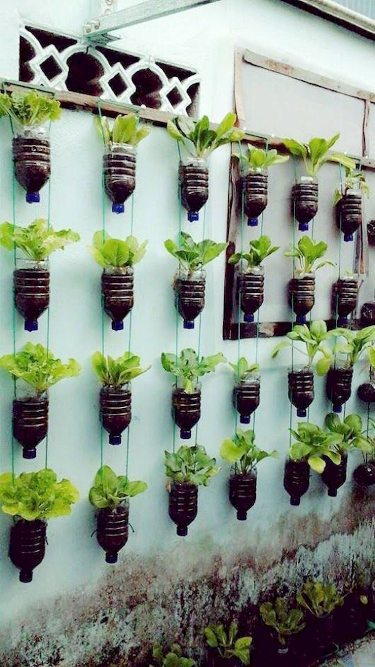 Cool Vertical Garden Design Ideas