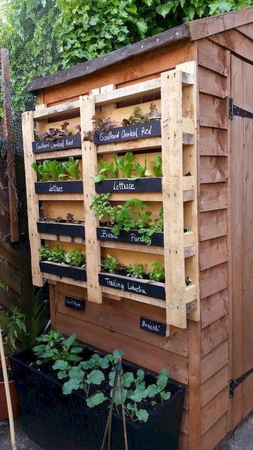 Diy Vertical Garden Design Ideas For Your Home Decorafit Com Home