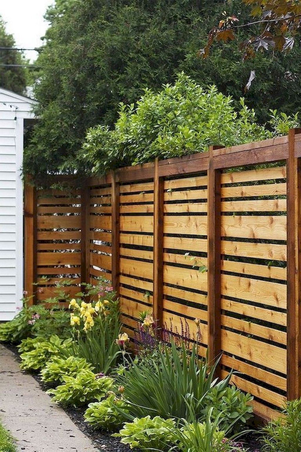 Trendy Ideas backyard privacy fence diy
patio