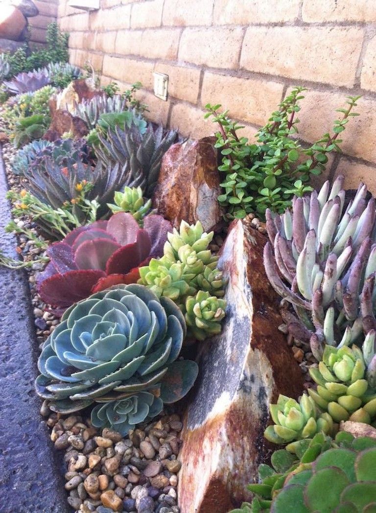Gorgeous Small Rock Gardens You Will  Definitely Love To Copy