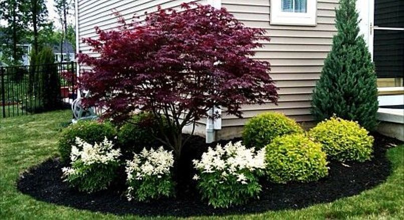 Inexpensive Front Yard Landscaping Ideas