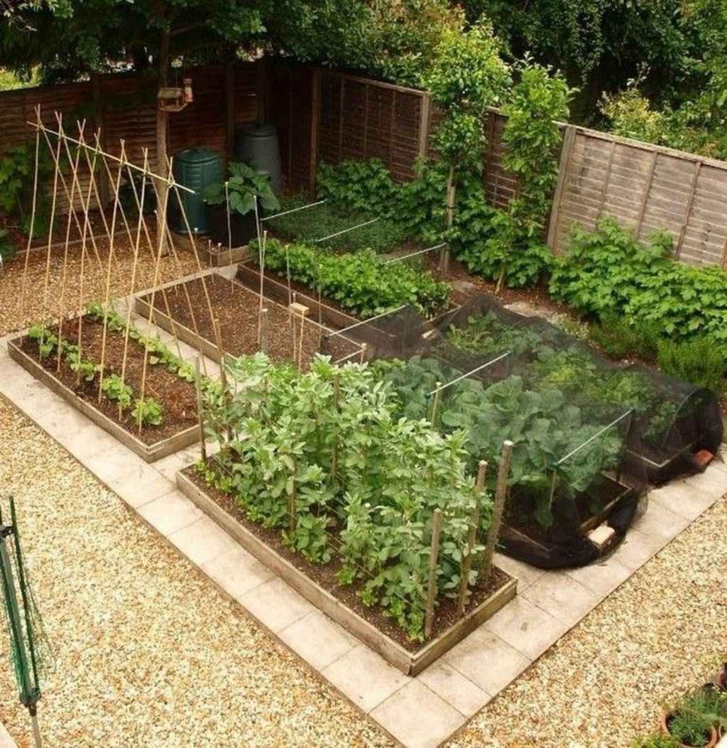 backyard vegetable garden design        <h3 class=