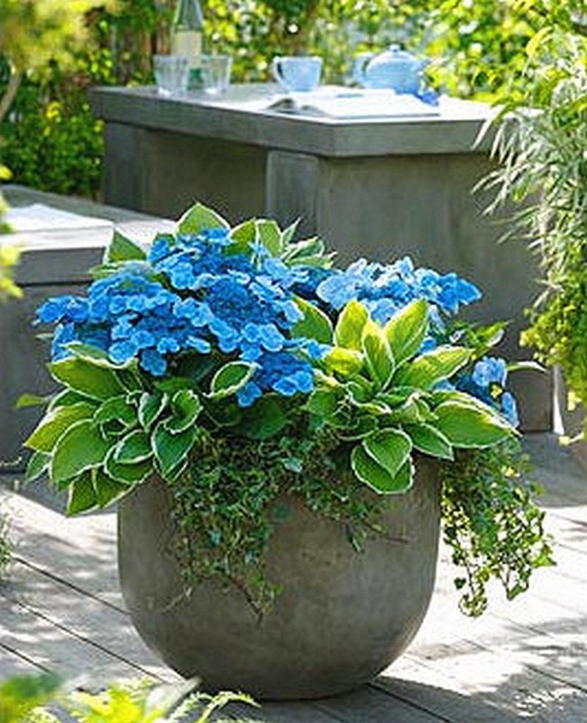 Container Gardening Ideas