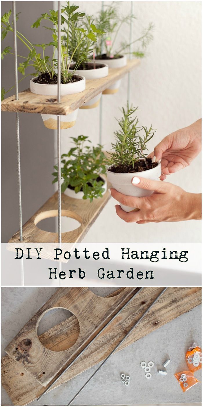 Amazing Garden Pot Ideas You’ll Love