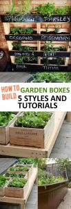 How-to-Build-Garden-Boxes-5-Styles-and-Tutorials.jpg