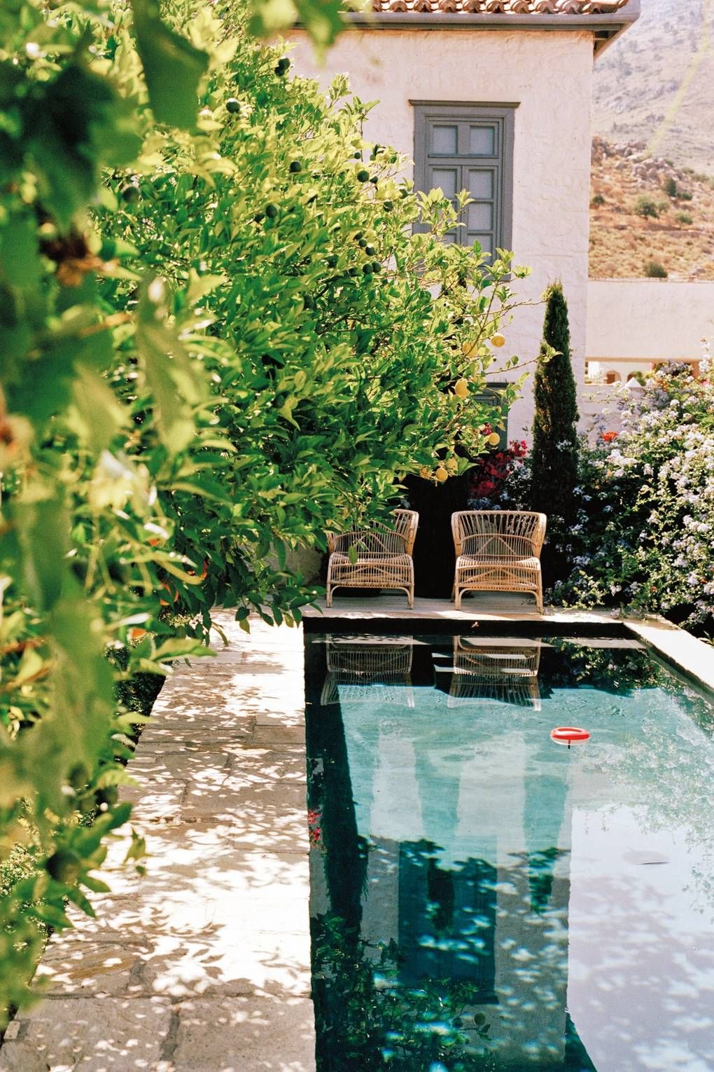 Plunge pool ideas for small places