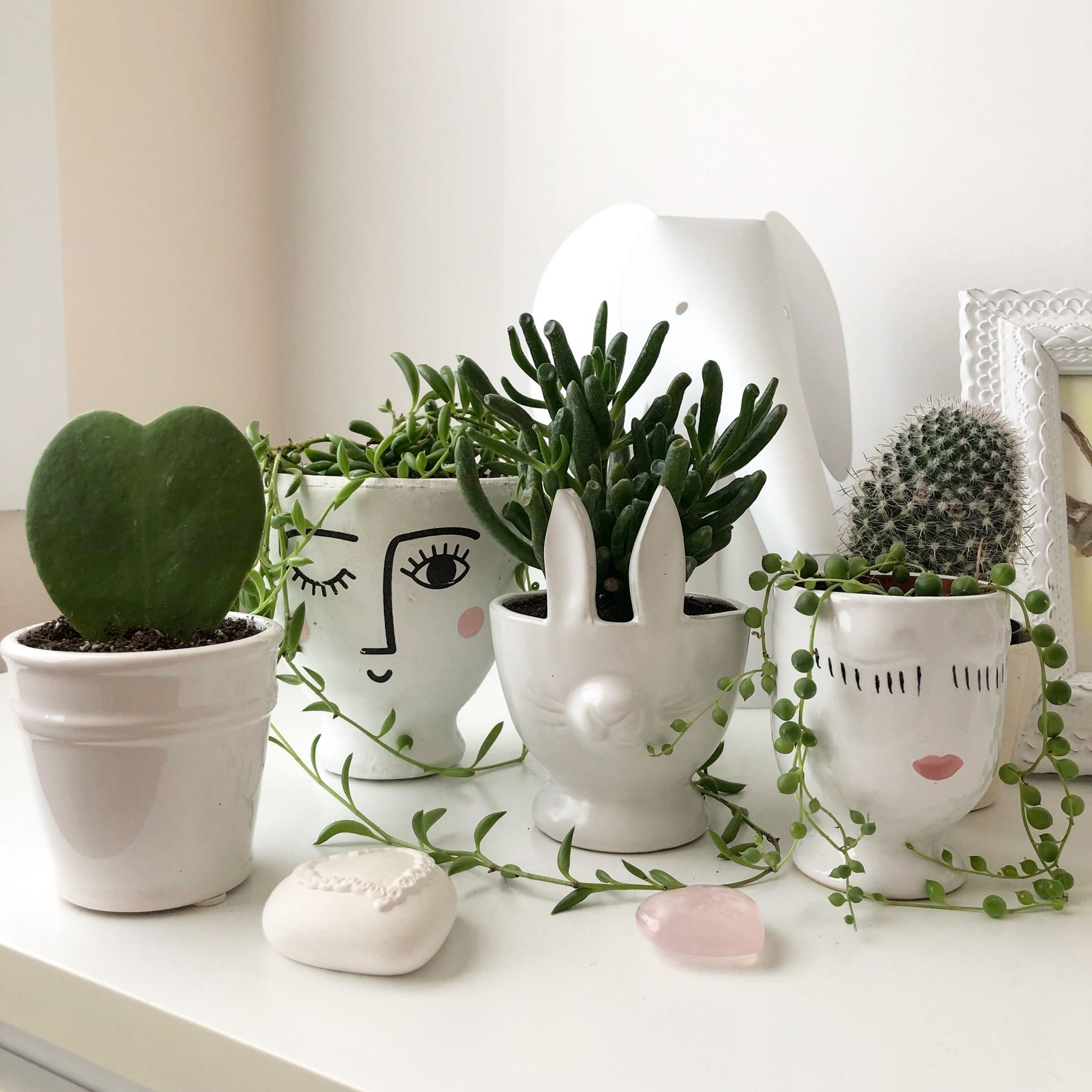 how-to-fill-a-plant-pot-fill-plant-pot-decorafit-home