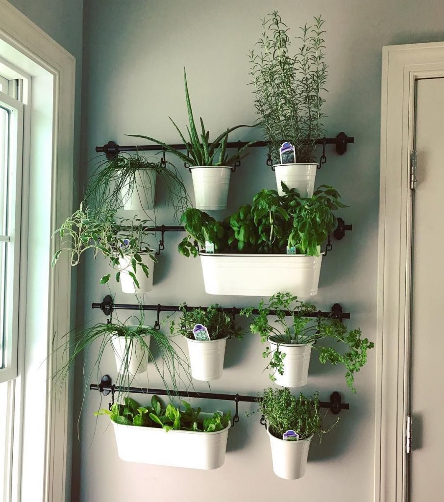 Indoor-herb-gardens-on-Instagram-for-the-kitchen.jpg