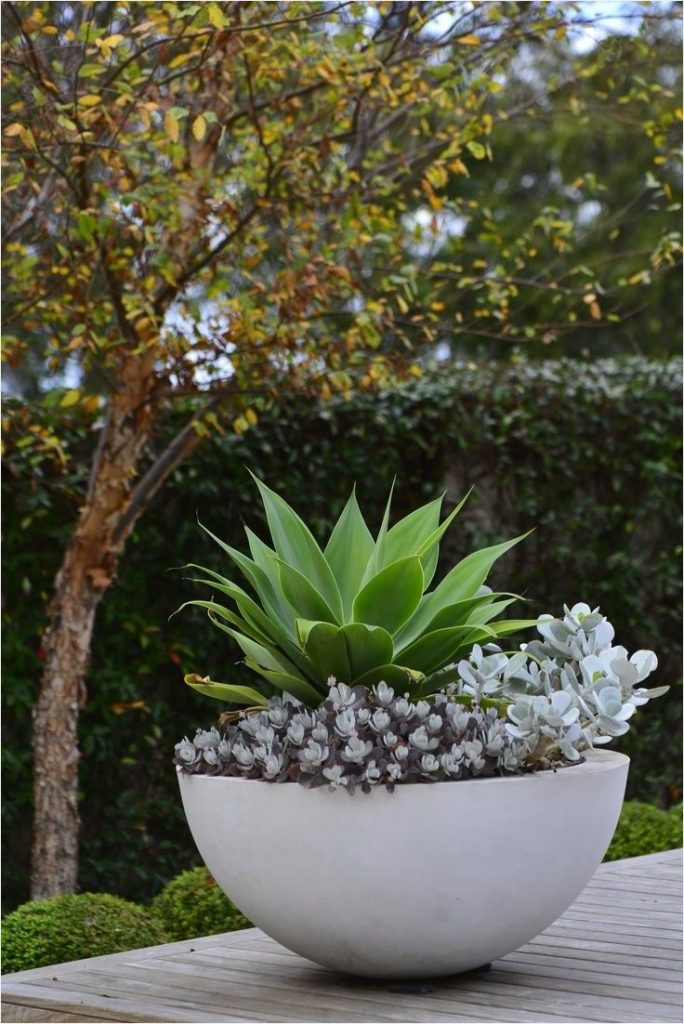 Outdoor-Potted-Plant-Entryway-Ideas.jpg