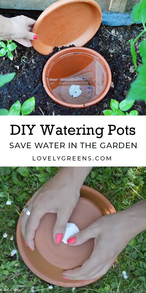 Amazing Garden Pot Ideas You’ll Love