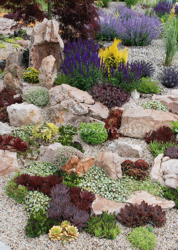 Gorgeous Small Rock Gardens You Will  Definitely Love To Copy