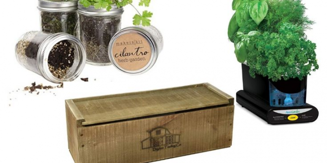 Top 5 Indoor Herb Garden Kits – decorafit.com/home