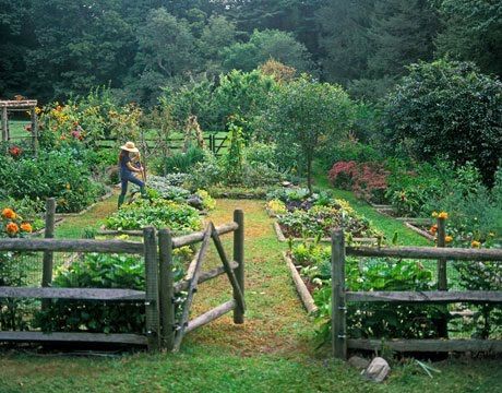 Ornamental Kitchen Garden Ideas