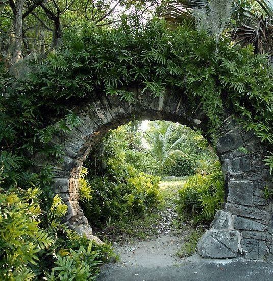 Gorgeous Garden Arches
