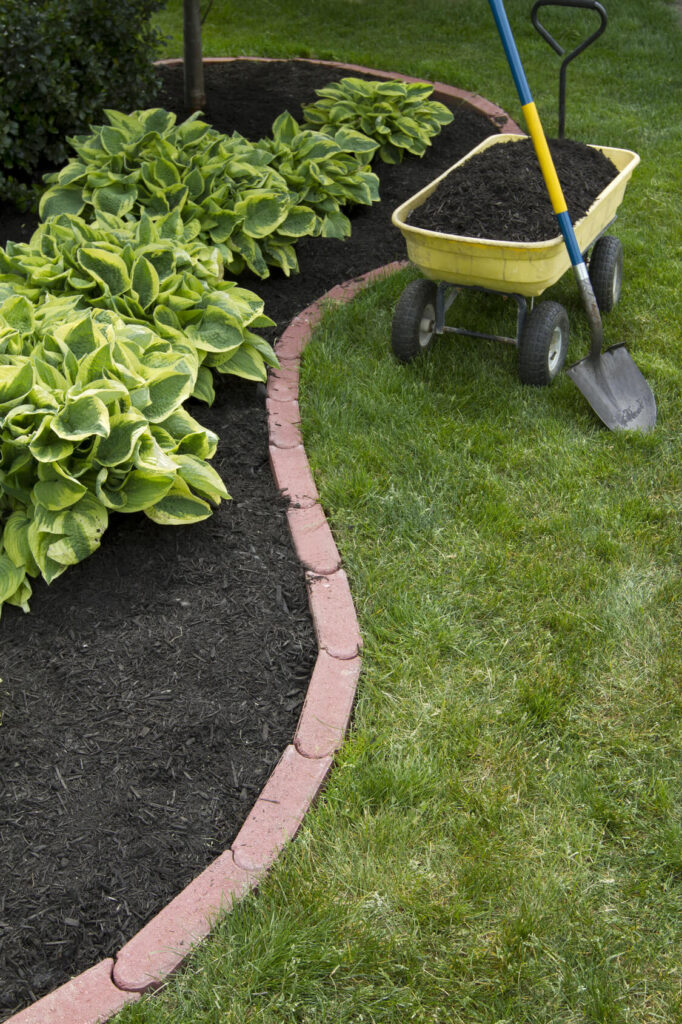 Garden Edging Ideas to Make Your Garden Amazing – decorafit.com