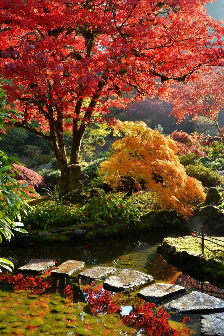 CONTEMPORARY JAPANESE GARDENS AND
LANDSCAPES